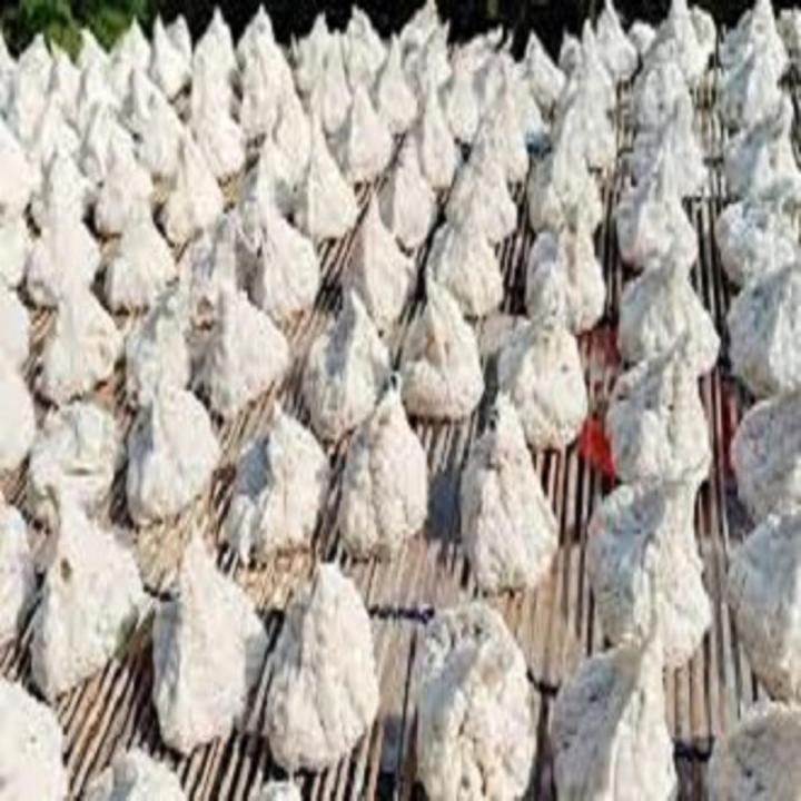 Fresh Kuma Bori 100 500 Gms Indian Rice Product Daraz bd