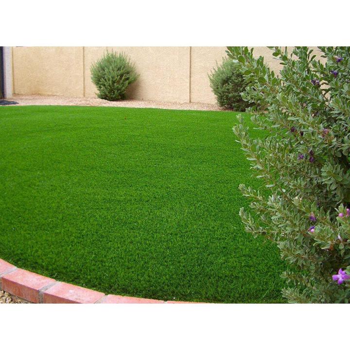 1000 pcs intact F-1 hybrid lawn grass/carpet grass seeds (intact packet)
