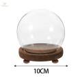 Glass Display Micro Landscape DIY Decorative Clear Dome for Photos Medals Decoration Home 10cm. 
