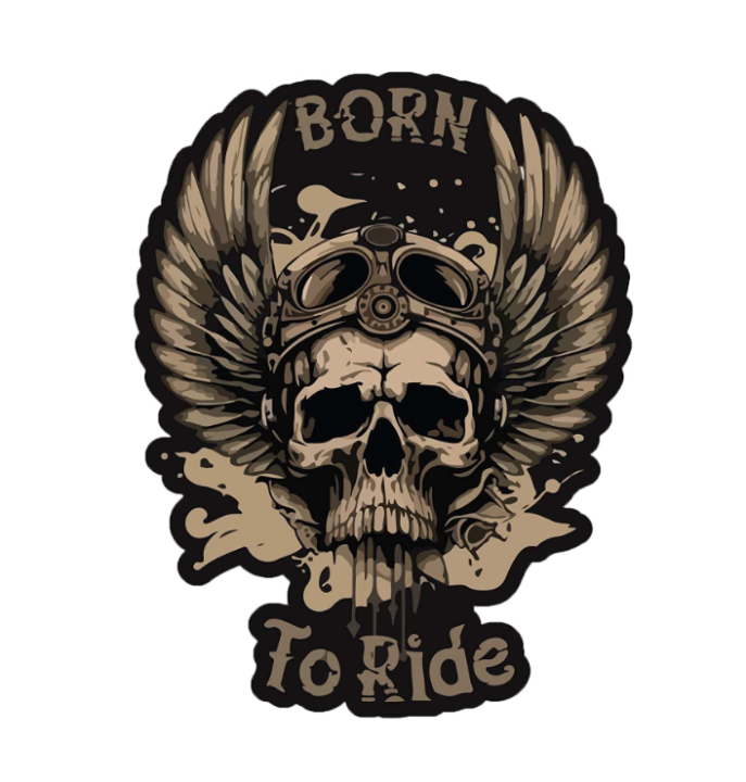 Sticker for bike 520 | Daraz.com.bd