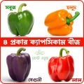 Newfangled - 4 color capsicum seeds 15 seeds total. (green, yellow, purple, red) - Tools, DIY & Outdoor - Modern and Trendy.