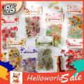 New HelloWorld Floral Journaling ticker Tranparent PET Vintage Natural Flower Planner ticker. 