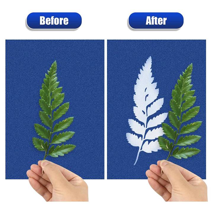 Cyanotype%20Paper,%2030%20Pcs%20A5%20Sun%20Print%20Paper%20Kit,%20High%20Sensitivity%20Sun%20Print%20Nature%20Printing%20Paper%20Solar%20Drawing%20Pape%20-%20Image%205