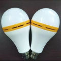LED IPS Lamp, AC/DC Bulb, Emergency LED Light, Backup Lamp. 