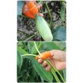 5 in 1 Silicone Vegetable And Fruits Thumb Cutter Finger Cutter.