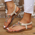 Bohemia Style Clip Toe Sandals Women 2023 Summer Flat Heels Gladiator Sandals Woman Plus Size 43 Rome Beach Shoes Flip-Flops House Foocus.