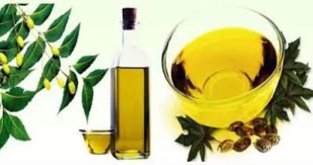 Neem%20oil%20-Neem%20Tel-100ml(Organic)%20-%20Image%202
