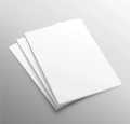 250 gsm A4 Size  cardstock Matte White Paper - 20 Sheet Bundle. 