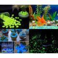 15/25/ 50 pieces Luminous Resin Glowing Stone For Home Aquarium & Decoration.