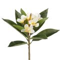 One Faux Single Stem Frangipani 23 Length Simulation Plumeria Real Touch Green Leaf for Wedding Centerpieces 3 Colors. 