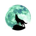 30 cm Big Wall Sticker Self Adhesive Cartoon Pattern PVC 3D Moon Shaped Luminous Sticker for Home. 