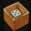 Magic Dice Magic Props Dice Trick Dot Number Change Dice Magic Stage Illusion Props Toys For Kids Adults. 