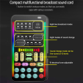 I9 Voice Changer Full Kit Multiple Audio Effect Bluetooth Live Sound Cards Ultra-Thin Portable Live Sound Card Mic Tool.