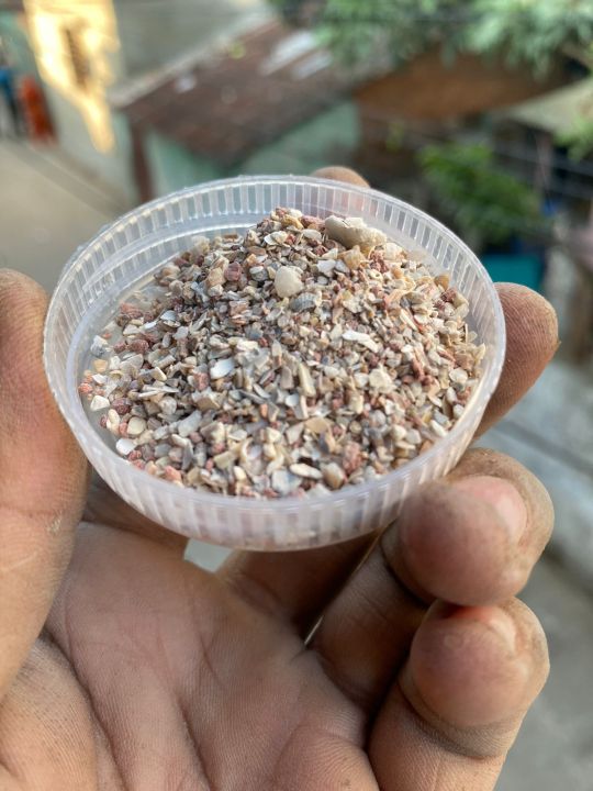 Deli%20Nature%20Grit%20for%20All%20Bird%20250g%20-%20Image%203