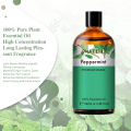 PHATOIL 100ML Copaiba Pure Essential Oils Helichrysum Neroli Australian Tea Tree Lemon Eucalyptus Turmeric Oregano Spearmint Oil.