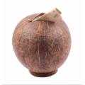 Eco Friendly Handmade Coconut Shell Made Coin Bank Money Saving Bank Coconut She'll Bank. 