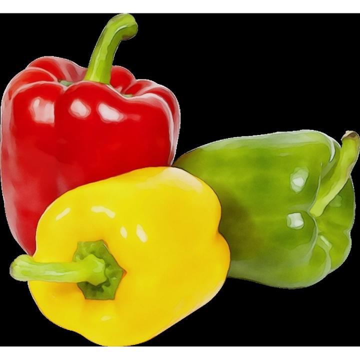 Mix Color Capsicum Seeds 1gm Hybrid
