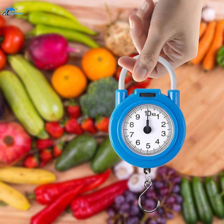 Hanging%20Weight%20Scale%2010kg%20Spring%20Weight%20Scale%20Spring%20Balance%20Hook%20Scale%20-%20Image%208