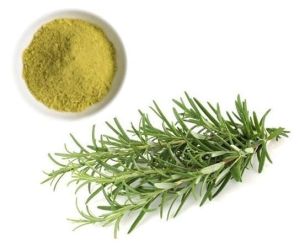 Rosemary Dried Leaves Powder For Hair Growth-25g