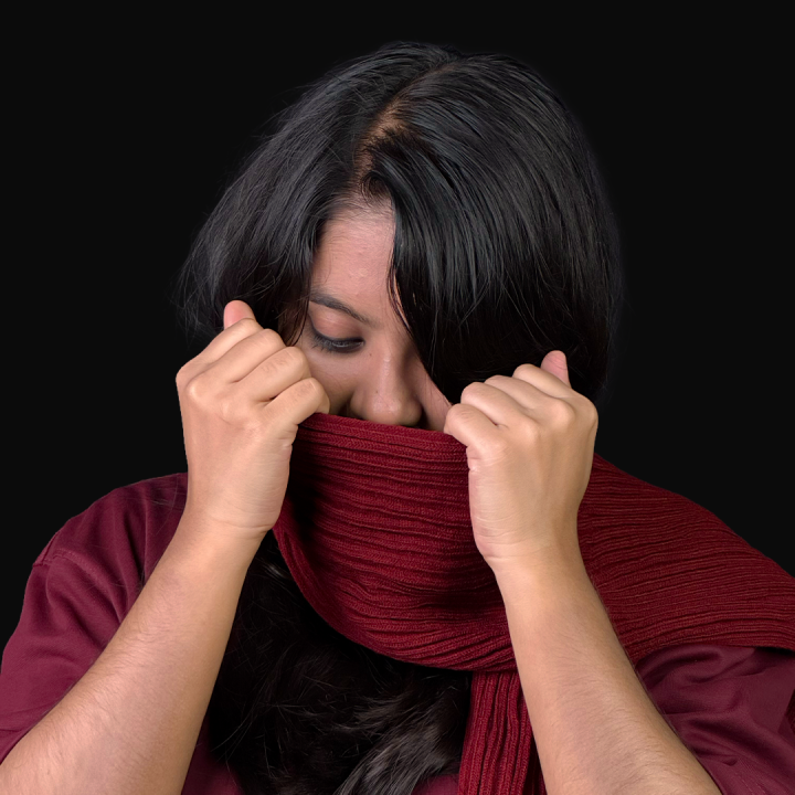 Mikasa Ackerman scarf