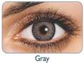 Freshlook Grey contact lens.