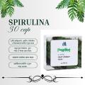 modern spirulina cp. 