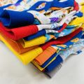 Pack of 5 Pcs Assorted Multicolor Super Soft Ribbed Brief Style Boys Underwear From Levin.