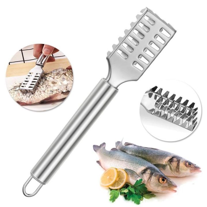 Stainless%20Steel%20Fish%20Scale%20Cleaner%20-%20Image%204