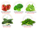 Premium Quality Foreign Vegetable Seed (Hybrid) Combo Package (Re Packet) / seeds. 