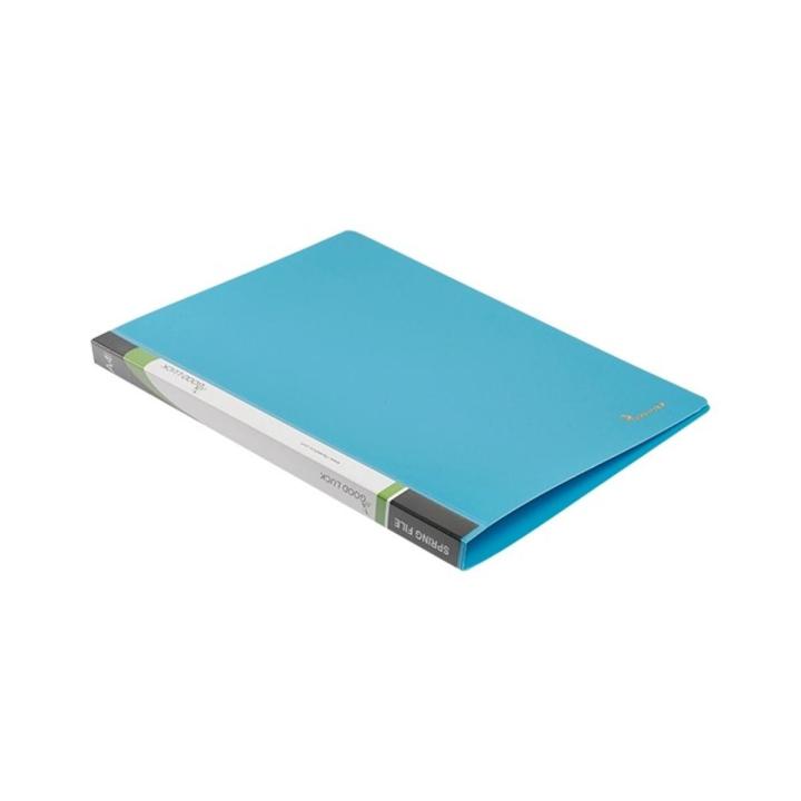 Good Luck Spring Punch Single file A4 Size Random Color 1 pcs