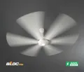 INNOEL GC-6 BLDC Ceiling Fan | Energy Efficient Fan with LED Light | 5 Year Warranty | Free Delivery.