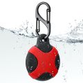 AirTag case with a carabiner clip..