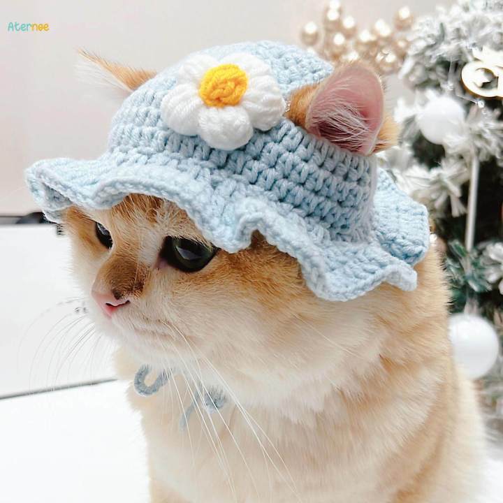 Real Cats In Beanies Cute Beanie Hat For Cats – Meowden®