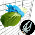 1Pcs Small Pet Bird Food Holder Parrot Fruits Vegetables Clip Cuttlefish Bone Feeder Device Clamp Bird Cage Accessories Oiseaux.
