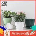 HelloWorld Round Flower Pot Corrosion Resistant Smooth Surface Flower Pot.