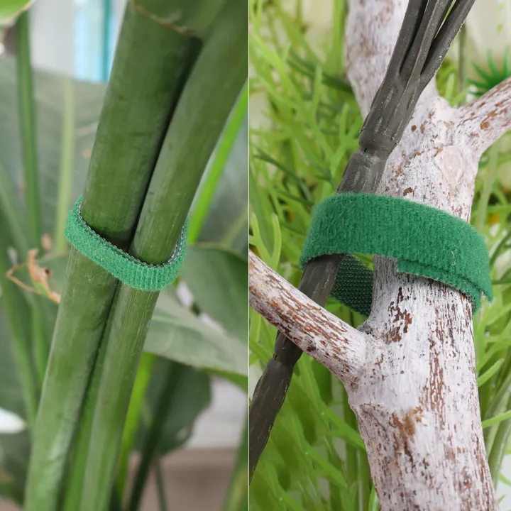 1/4Roll%202M%20Green%20Garden%20Twine%20Plant%20Ties%20Bamboo%20Cane%20Wrap%20Support%20Nylon%20Plants%20Bandage%20Fastener%20Tape%20Hook%20Loop%20Garden%20Accessories%20-%20Image%204