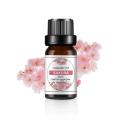 Sakura 10ml Pure Plant Water Soluble Essential Fragrances  for Humidifier Diffusers Aroma. 