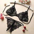 Women's Lace Underwear Set Bra Mesh Lace Print Three Point Underwear Set. 