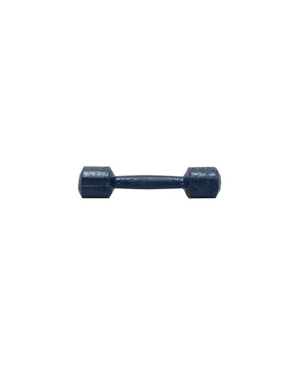 4%20Kg%20Dumbbell%20-%20Blue%20-%20Image%202