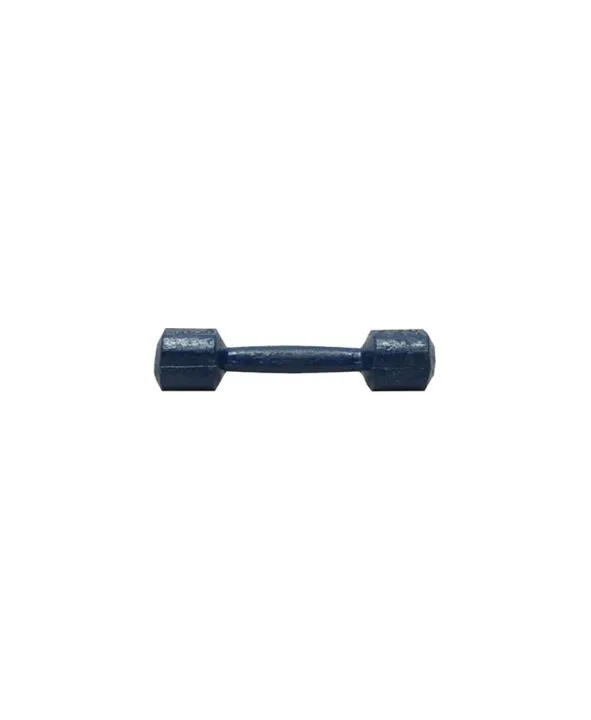 4%20Kg%20Dumbbell%20-%20Blue%20-%20Image%202