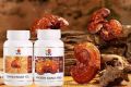Reishi Gano Powder 50g (RG) Ganocelium Powder 80g (GL). 
