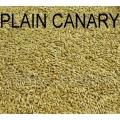 Birds Food Canary Seed Bird Food - 1KG. 
