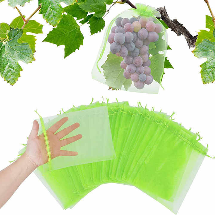Fruit%20Protection%20Bags%2010Pcs(4x6%20INCHI),%20Pest%20Control%20Anti-Bird%20Netting%20Bags%20Mesh%20Grape%20Planter%20Grow%20Bags%20Fruit%20Packing%20-%20Image%205