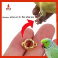Ringneck Parrot Birds Golden China Leg Ring 7MM size 1pis. 