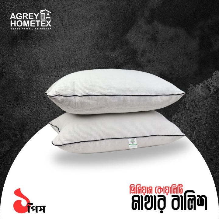 Premium Quality Fiber Head Pillow with Bag, White, (18"x26"), 1 Pcs