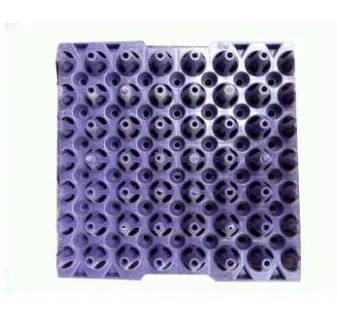 42%20pcs%20Quail%20eggs%20Tray%20-%20Image%202