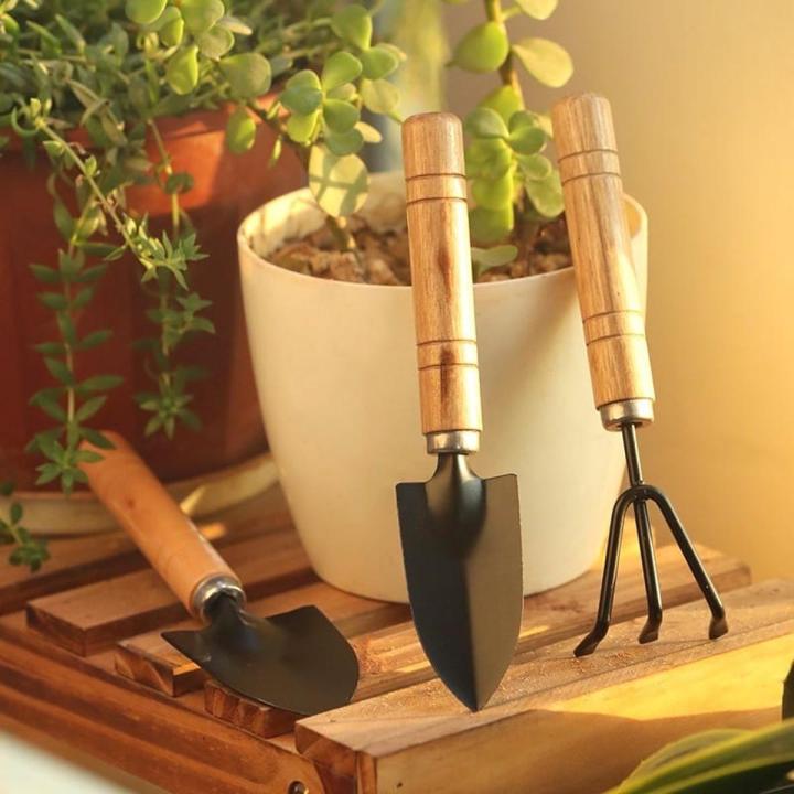 3Pcs%20Mini%20Gardening%20Set%20of%20Tools%20%7C%20Hand%20Shovel%20for%20Gardening%20Trowel%20Garden%20Tools%20-%20Image%202