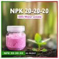 NPK 20-20-20 Fertilizer (Imported) - 100 gm (Re-Packet).