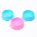 Fedding or Food Bowl for Cats and Kitten. 