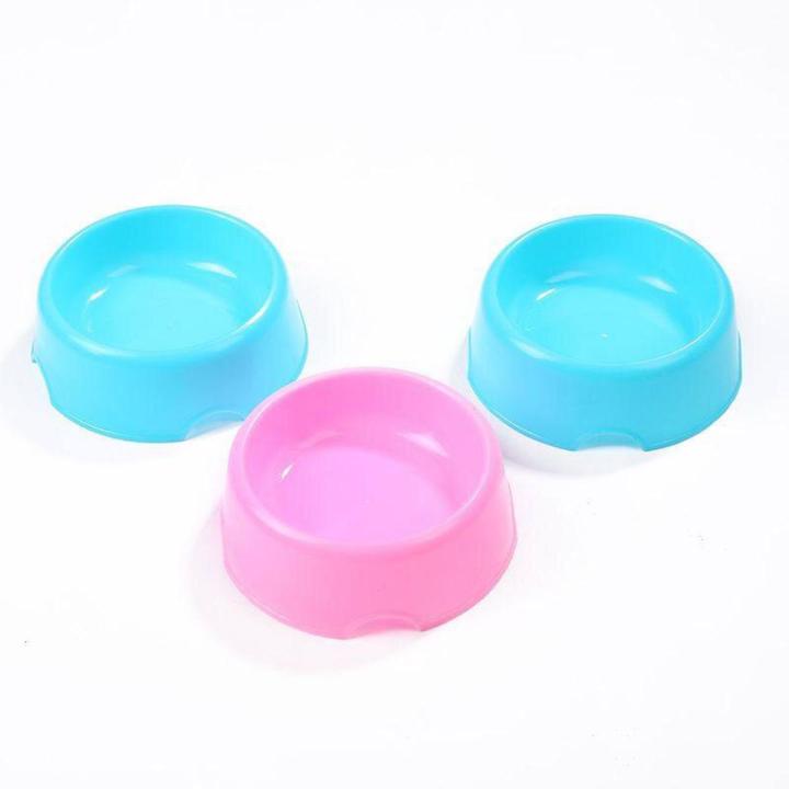Fedding or Food Bowl for Cats and Kitten